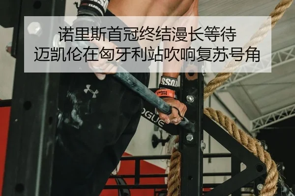 诺里斯首冠终结漫长等待 迈凯伦在匈牙利站吹响复苏号角